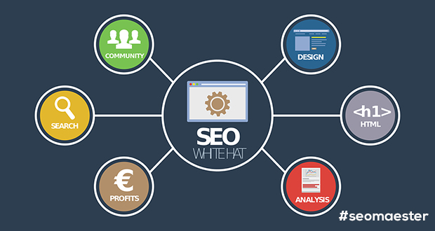 Search Engine Optimizer