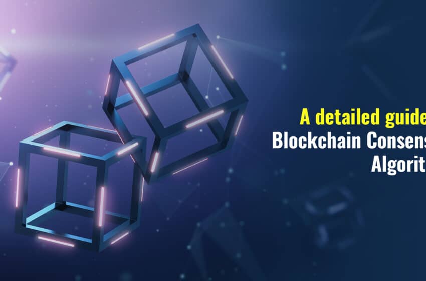  What is the Blockchains Software Package Considered to Be the Most Beneficial Distributed ledger Technology?